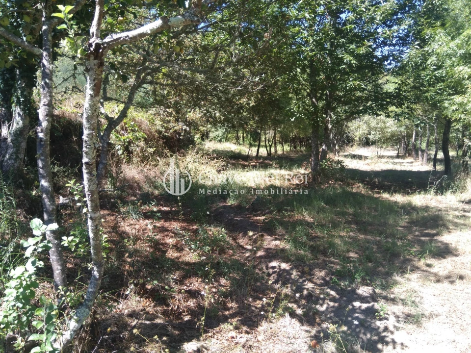 Moradia T5 para Venda em Santos Evos Foto 38