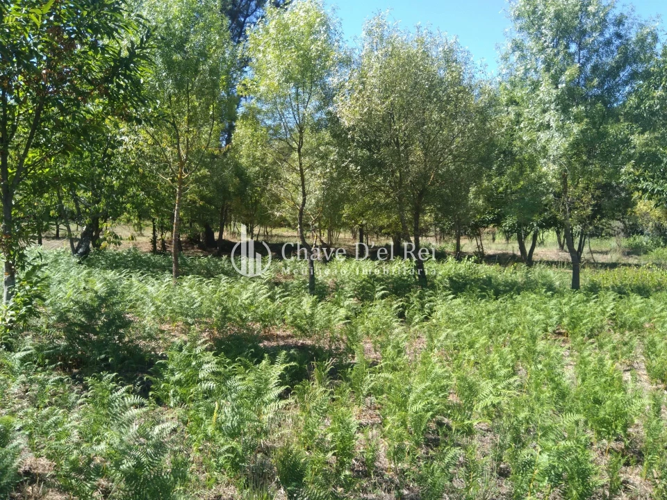 Moradia T5 para Venda em Santos Evos Foto 58