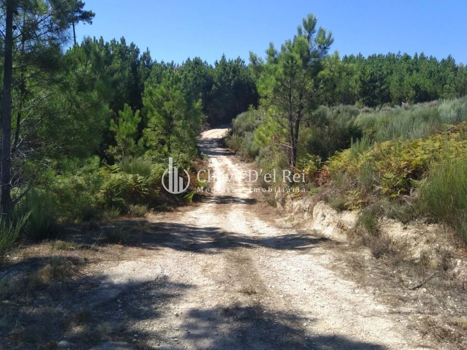 Moradia T5 para Venda em Santos Evos Foto 79