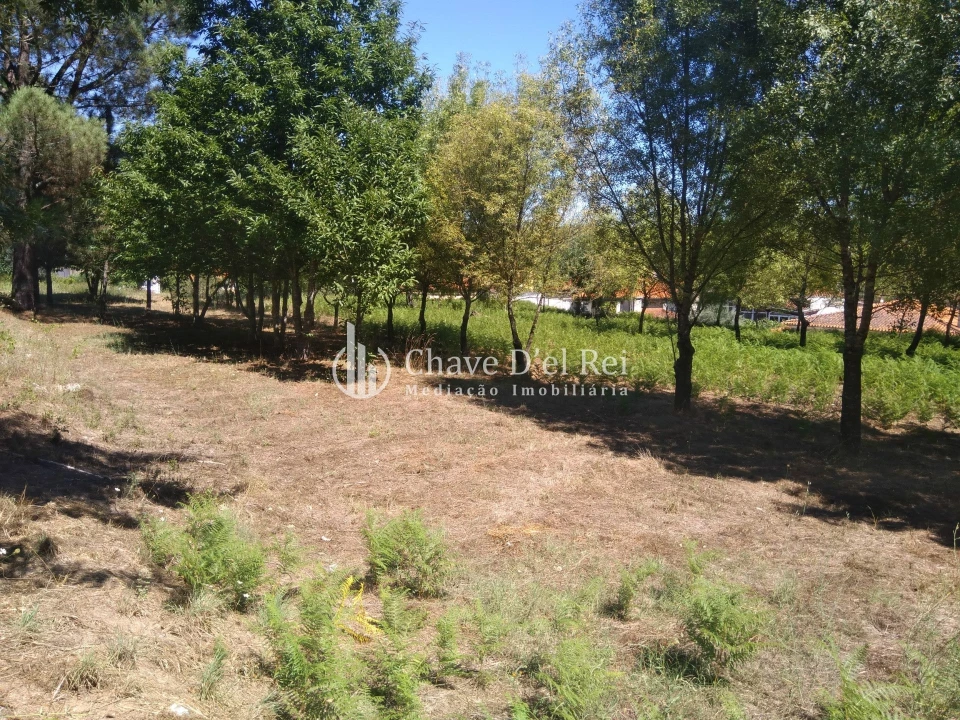 Moradia T5 para Venda em Santos Evos Foto 33