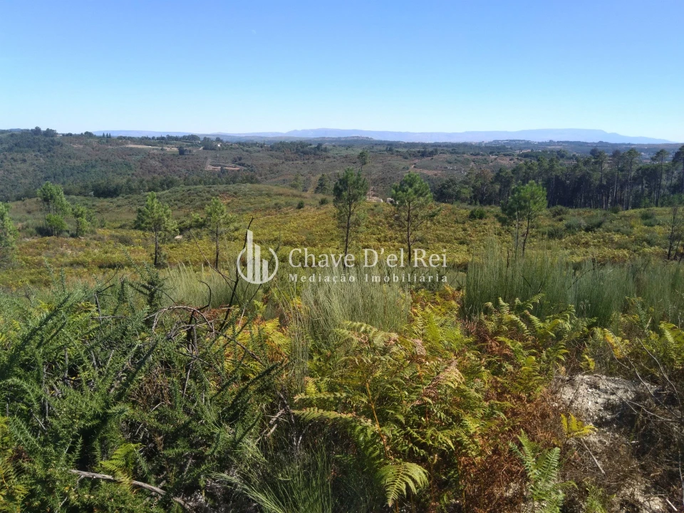 Moradia T5 para Venda em Santos Evos Foto 82