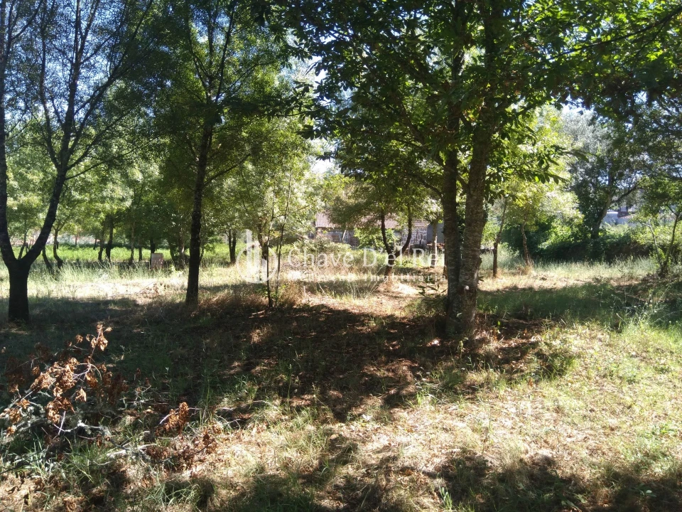 Moradia T5 para Venda em Santos Evos Foto 49