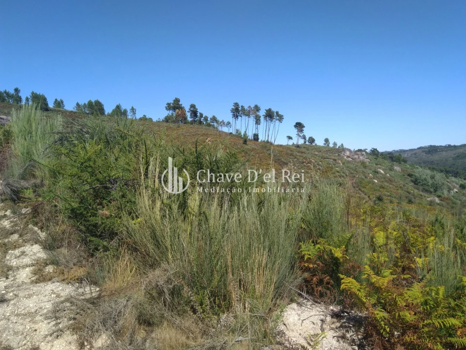 Moradia T5 para Venda em Santos Evos Foto 83