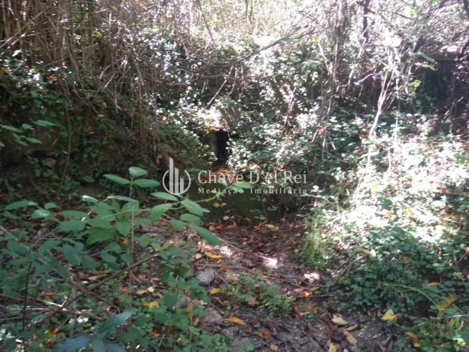 Moradia T5 para Venda em Santos Evos Foto 52