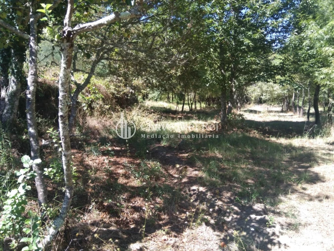 Moradia T5 para Venda em Santos Evos Foto 38