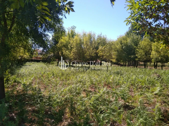 Moradia T5 para Venda em Santos Evos Foto 59