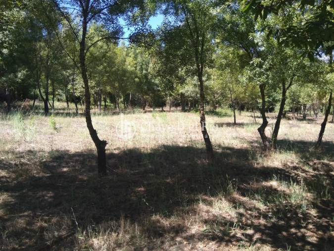 Moradia T5 para Venda em Santos Evos Foto 36