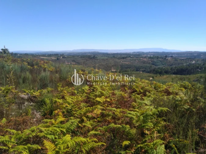 Moradia T5 para Venda em Santos Evos Foto 72