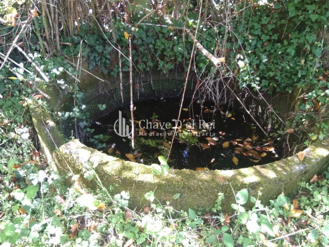 Moradia T5 para Venda em Santos Evos Foto 50