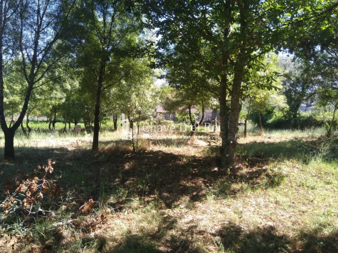 Moradia T5 para Venda em Santos Evos Foto 49