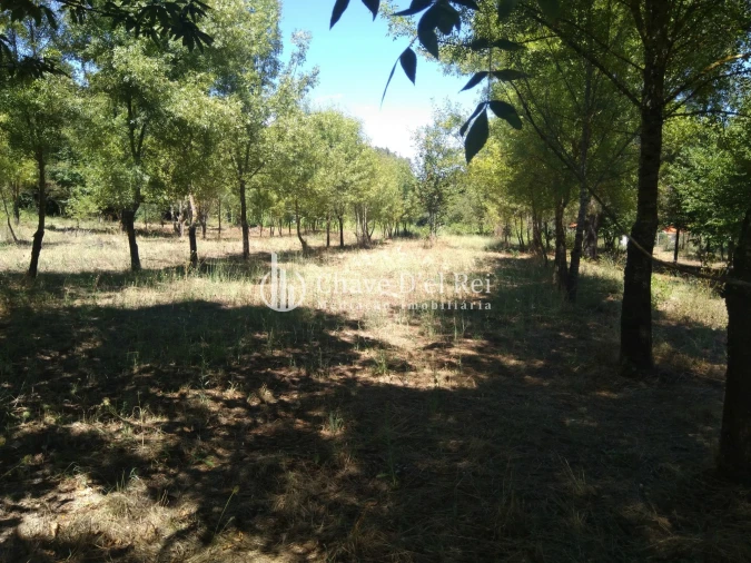 Moradia T5 para Venda em Santos Evos Foto 34