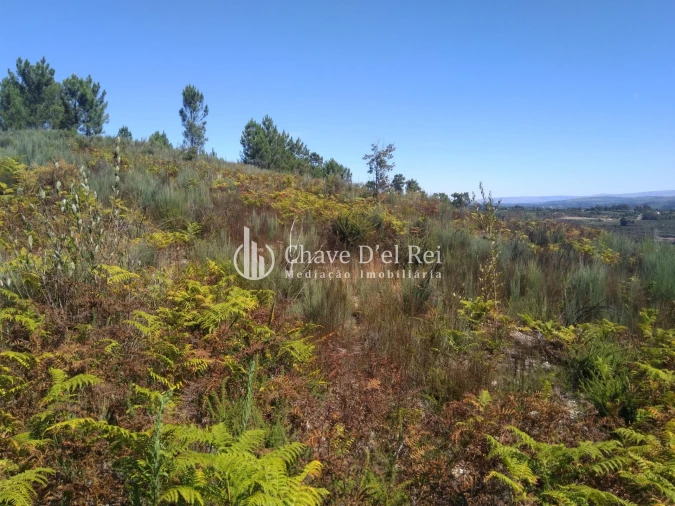 Moradia T5 para Venda em Santos Evos Foto 73