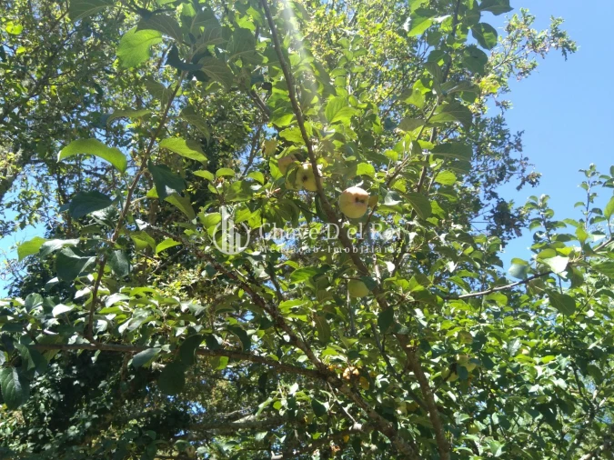 Moradia T5 para Venda em Santos Evos Foto 40