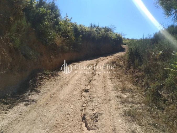 Moradia T5 para Venda em Santos Evos Foto 85