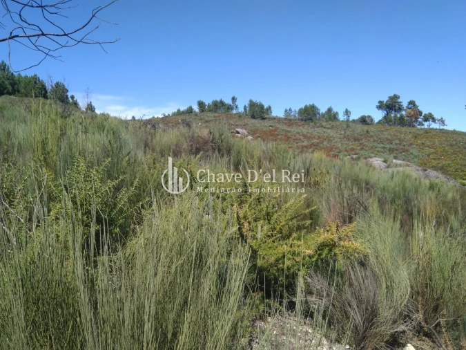 Moradia T5 para Venda em Santos Evos Foto 80