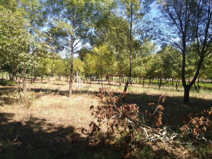 Moradia T5 para Venda em Santos Evos Foto 48