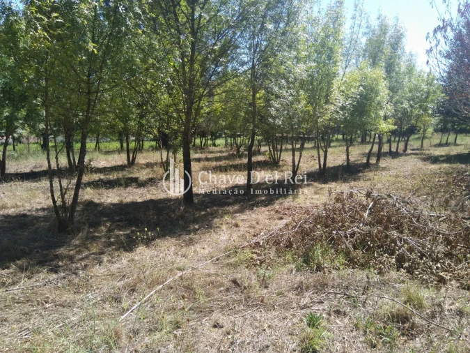 Moradia T5 para Venda em Santos Evos Foto 53