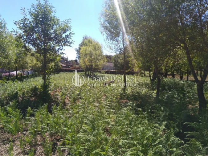 Moradia T5 para Venda em Santos Evos Foto 55