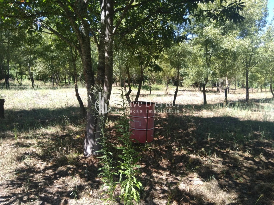 Moradia T5 para Venda em Santos Evos Foto 35