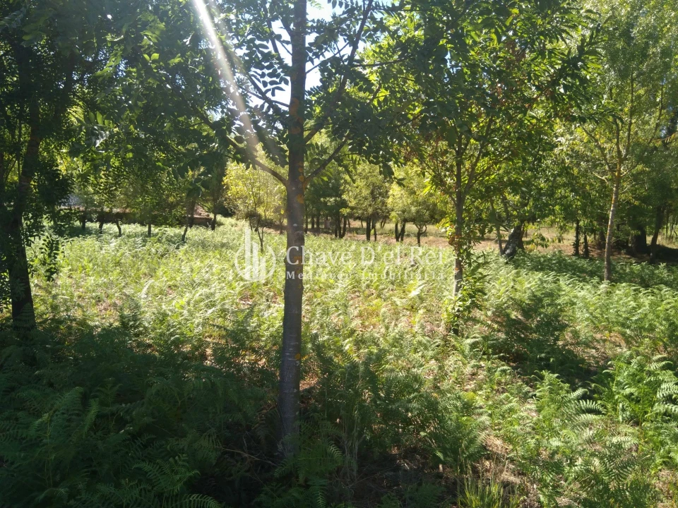 Moradia T5 para Venda em Santos Evos Foto 57