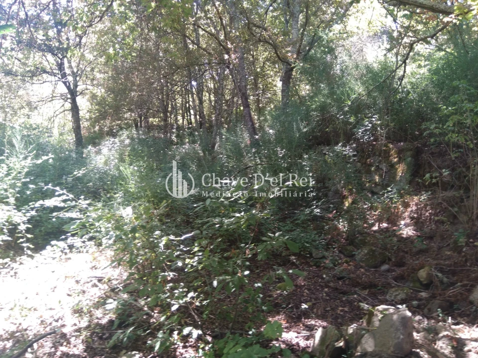 Moradia T5 para Venda em Santos Evos Foto 44