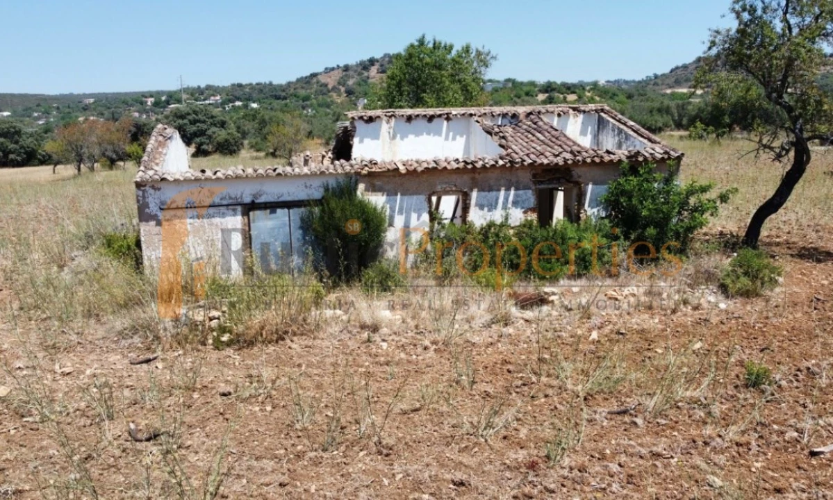 Terreno para Venda em Conceição e Estoi Foto 4