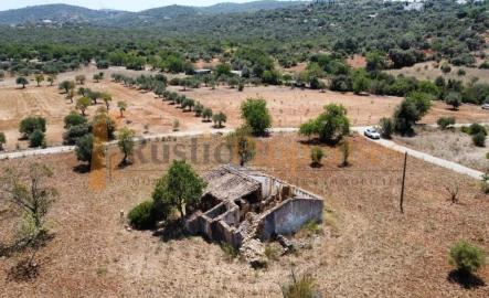 Terreno para Venda em Conceição e Estoi