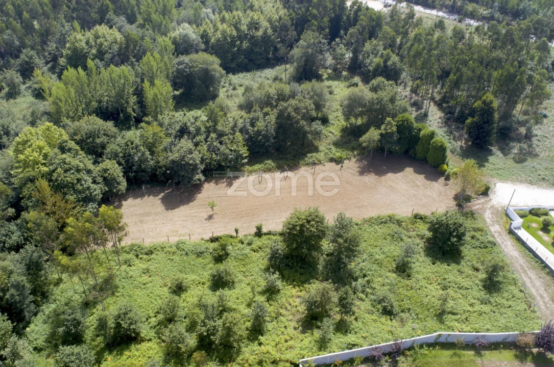 Terreno para Venda em Pedroso e Seixezelo Foto 13