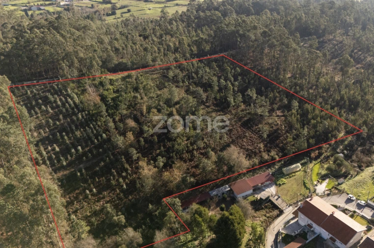 Terreno para Venda em Argoncilhe Foto 16