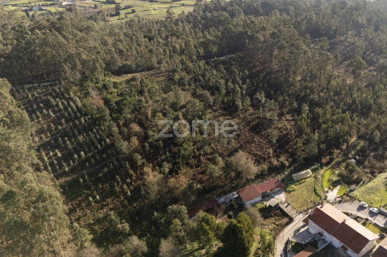 Terreno para Venda em Argoncilhe Foto 8
