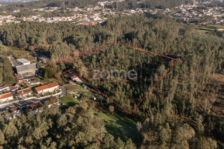 Terreno para Venda em Argoncilhe Foto 9