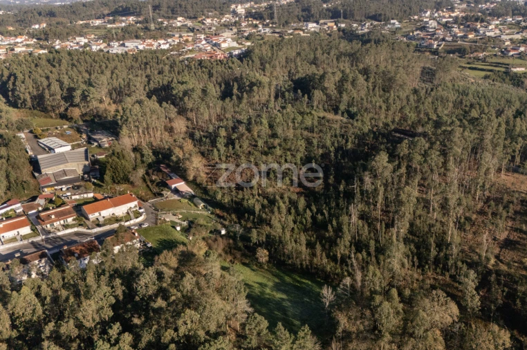 Terreno para Venda em Argoncilhe Foto 11