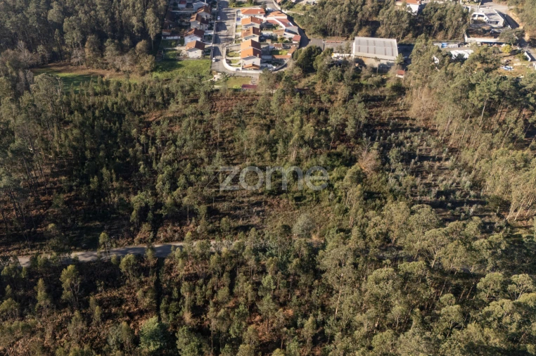 Terreno para Venda em Argoncilhe Foto 15