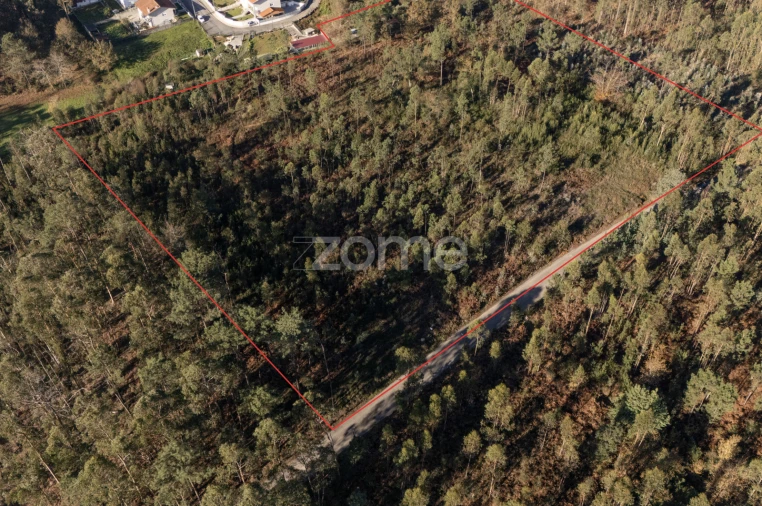 Terreno para Venda em Argoncilhe Foto 17