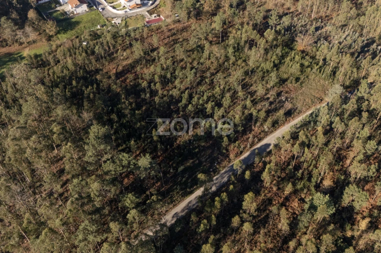 Terreno para Venda em Argoncilhe Foto 18