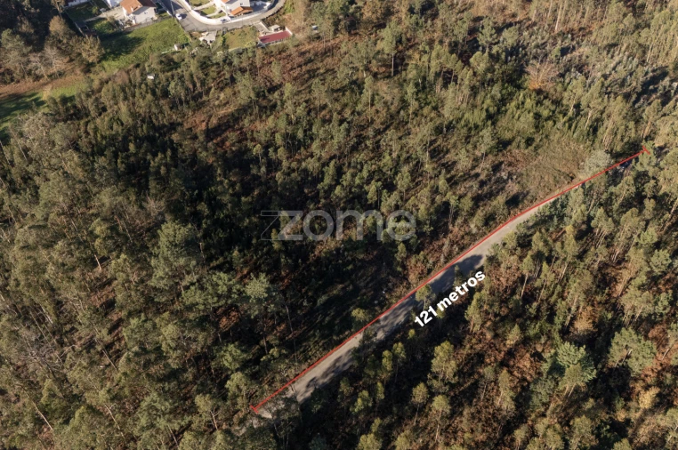 Terreno para Venda em Argoncilhe Foto 19