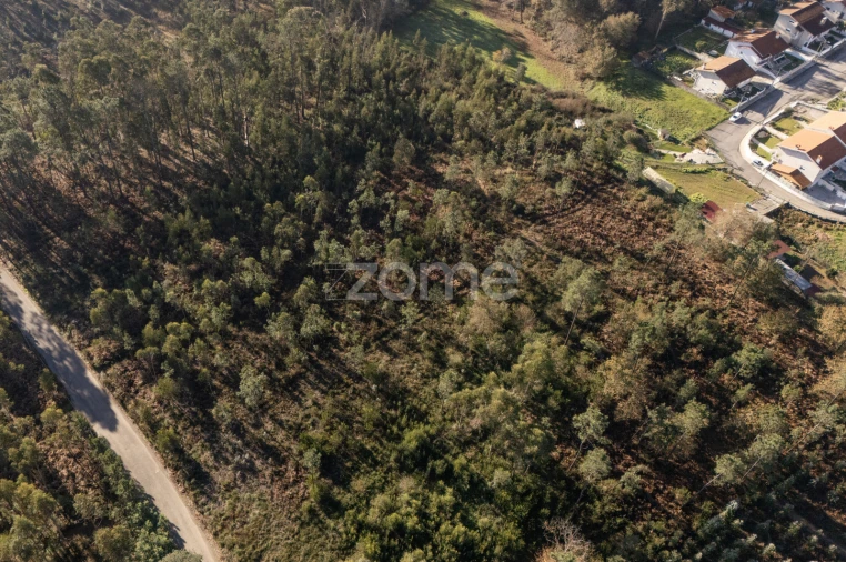 Terreno para Venda em Argoncilhe Foto 20
