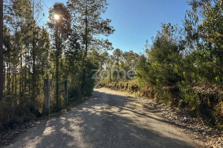 Terreno para Venda em Argoncilhe Foto 21