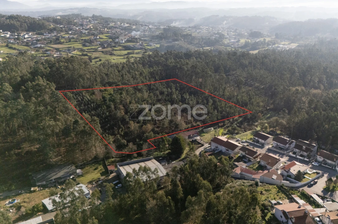 Terreno para Venda em Argoncilhe Foto 5
