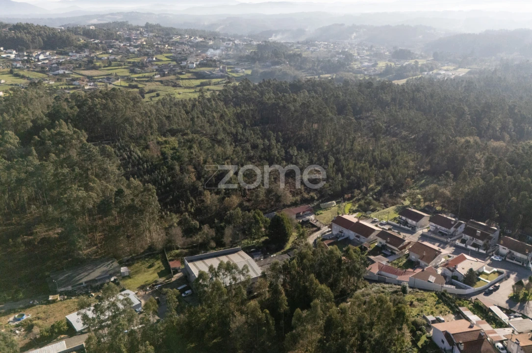Terreno para Venda em Argoncilhe Foto 6