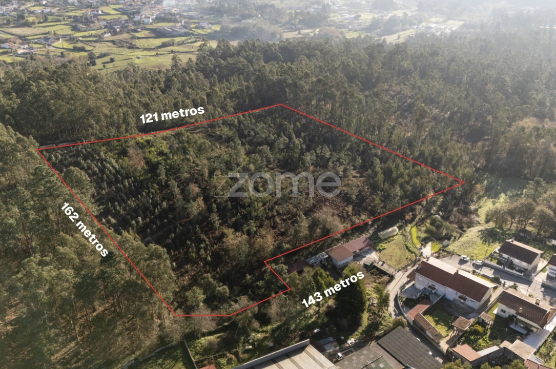 Terreno para Venda em Argoncilhe Foto 13