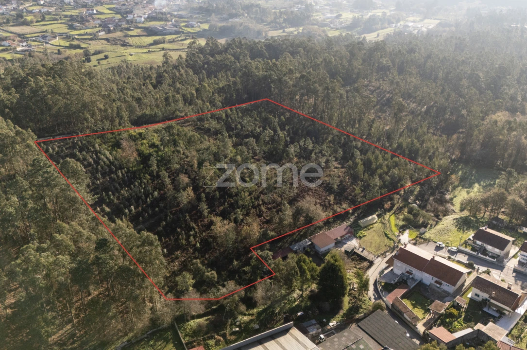 Terreno para Venda em Argoncilhe Foto 14
