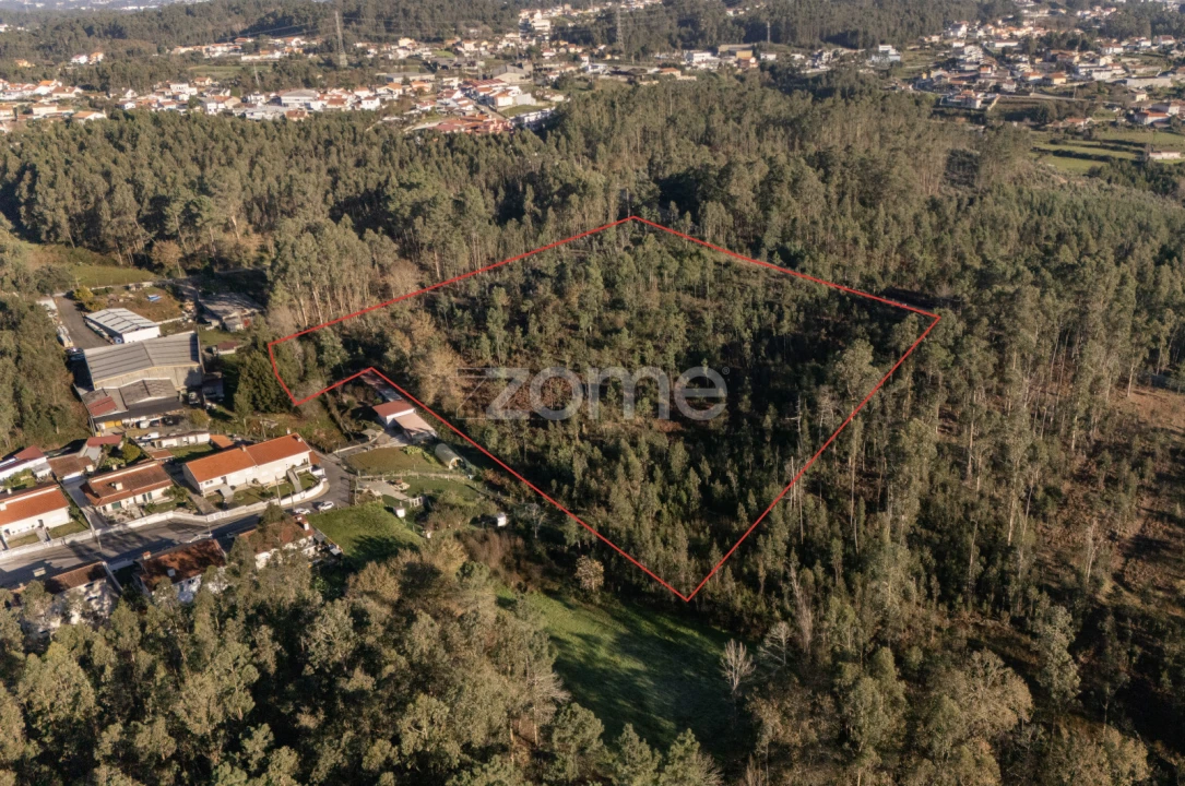 Terreno para Venda em Argoncilhe Foto 9