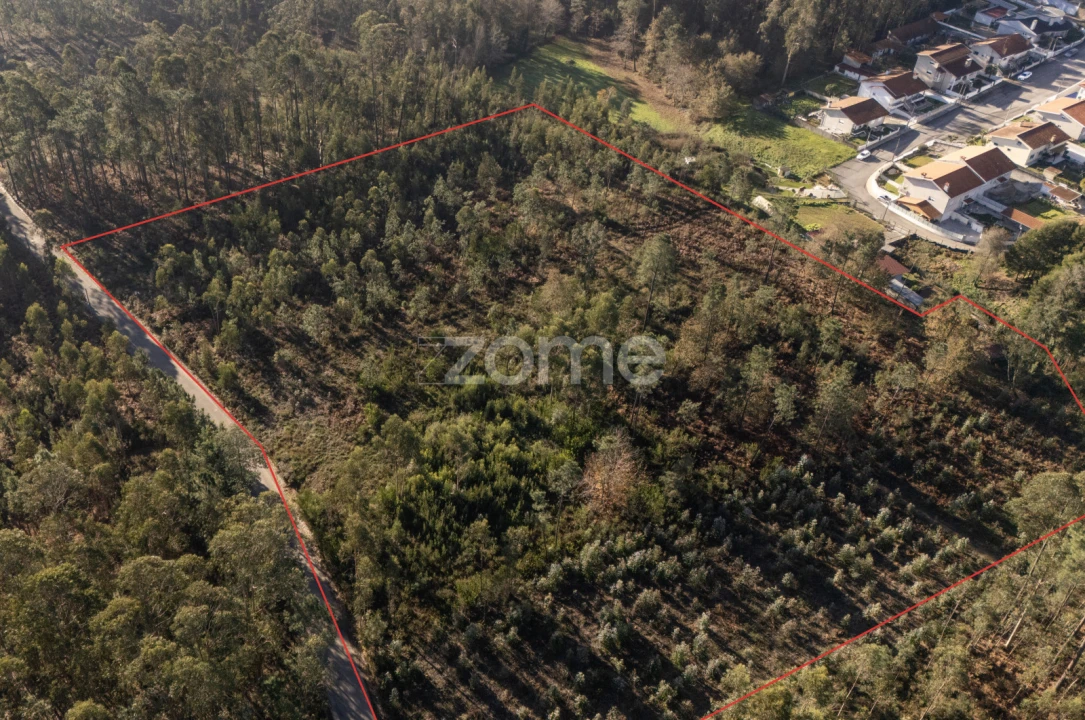 Terreno para Venda em Argoncilhe Foto 11