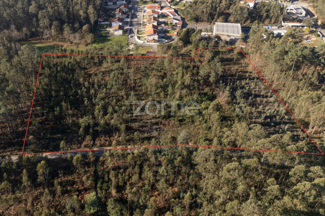Terreno para Venda em Argoncilhe Foto 22