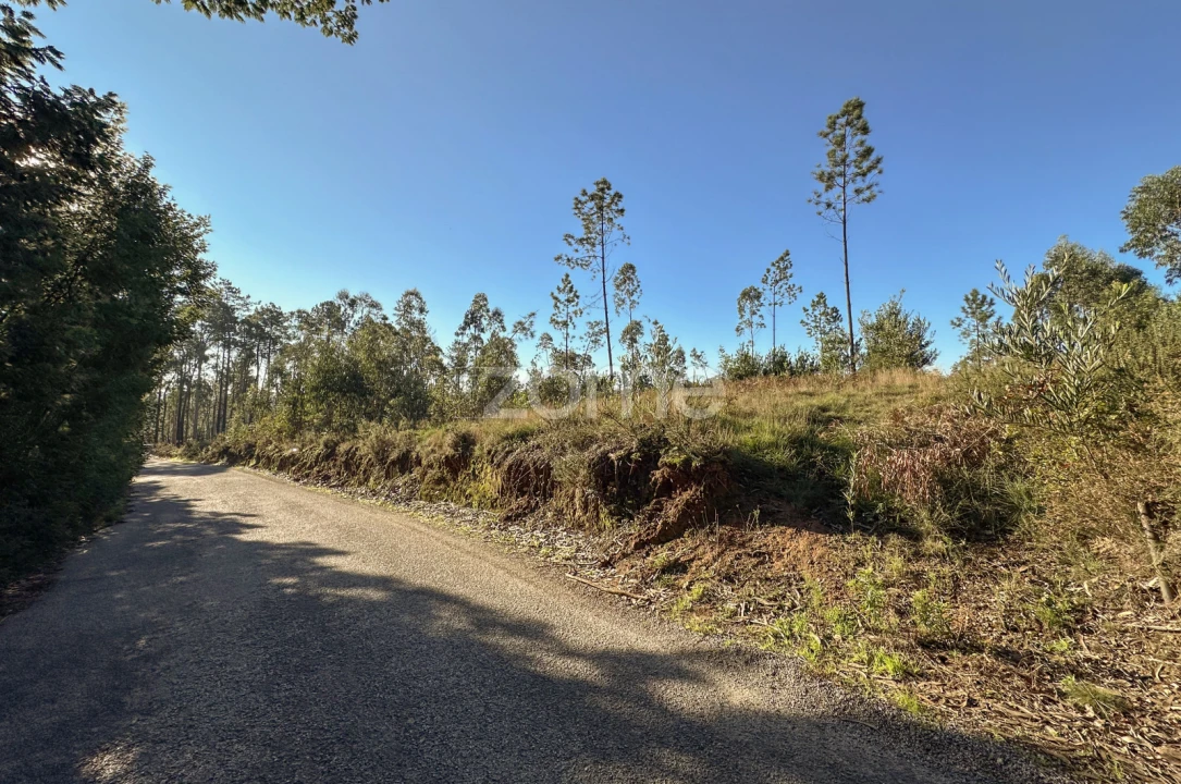 Terreno para Venda em Argoncilhe Foto 23