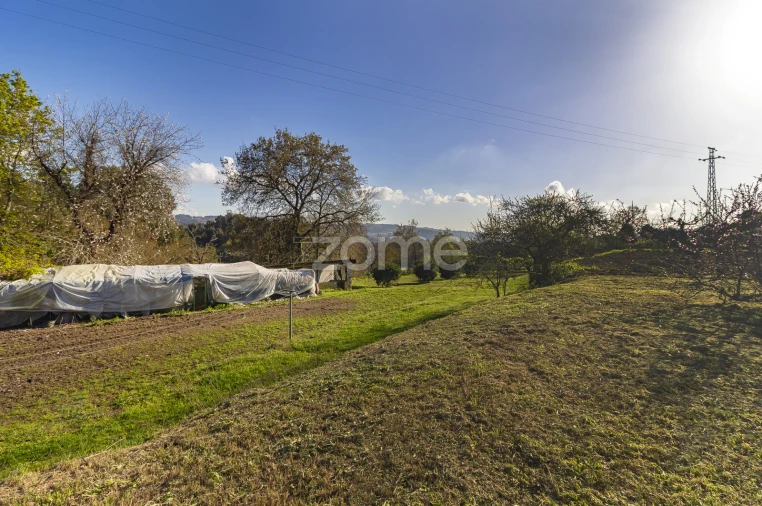 Quinta T9 para Venda em Serzedo e Calvos Foto 15