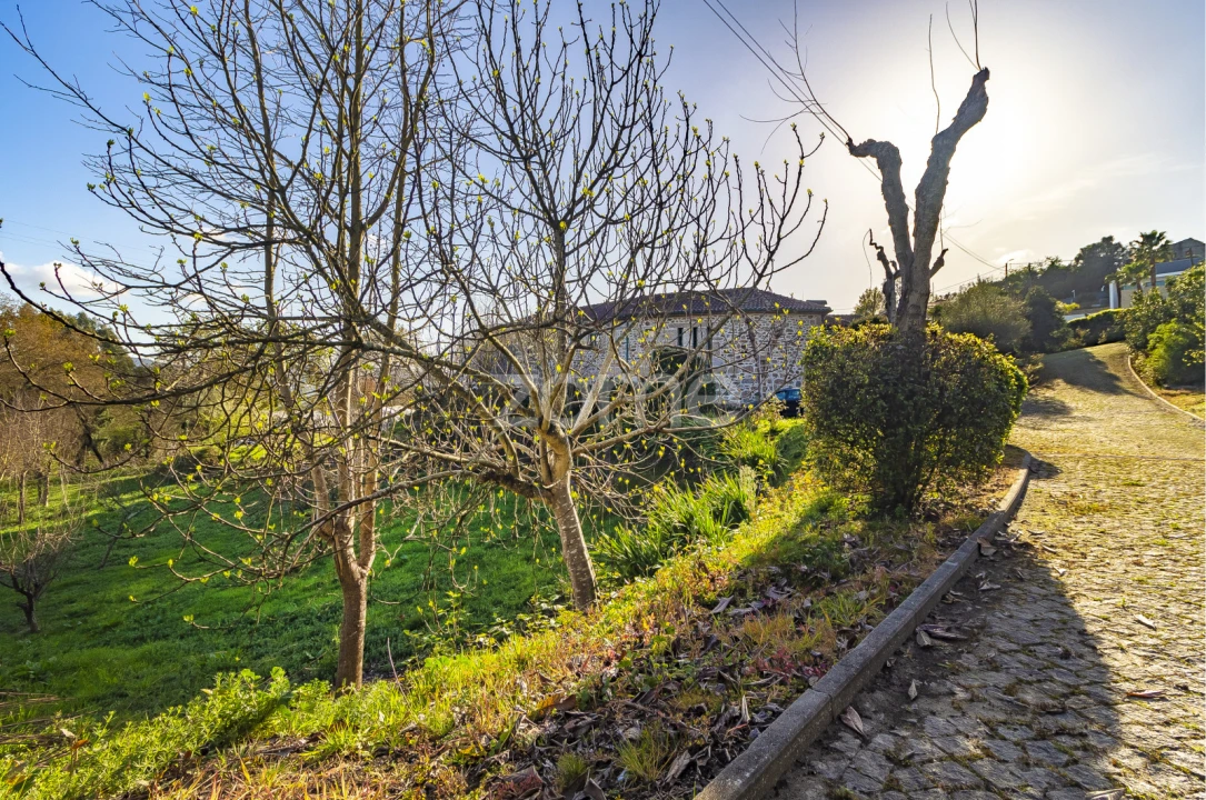 Quinta T9 para Venda em Serzedo e Calvos Foto 33