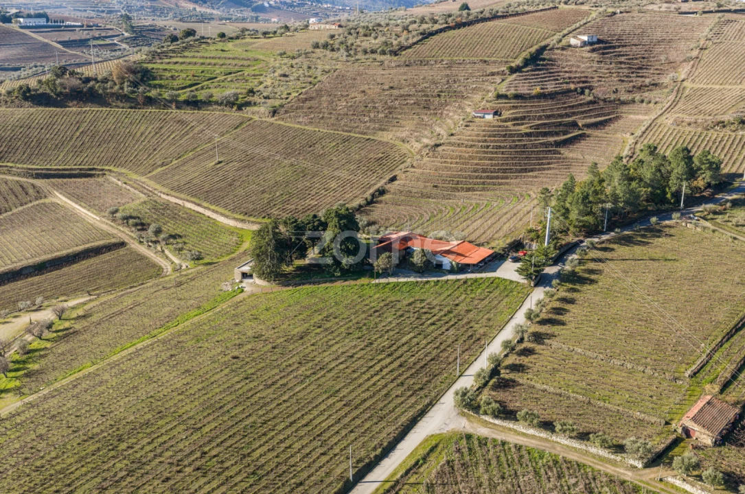 Quinta T5 para Venda em Barcos e Santa Leocádia Foto 63