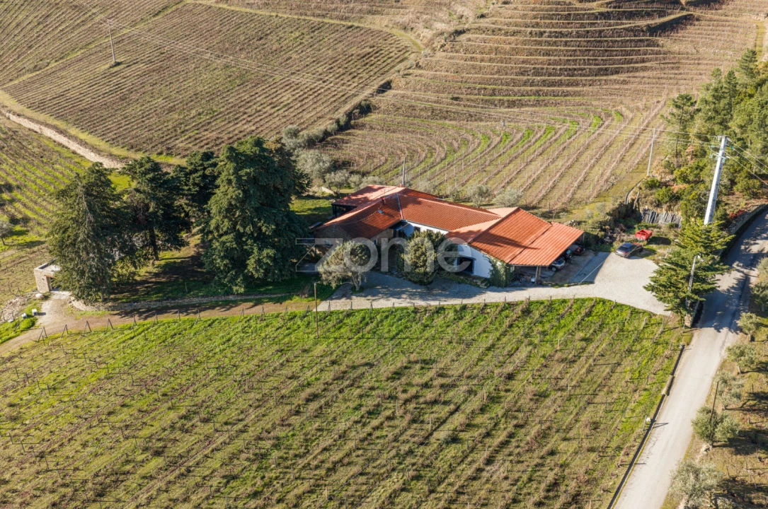 Quinta T5 para Venda em Barcos e Santa Leocádia Foto 1